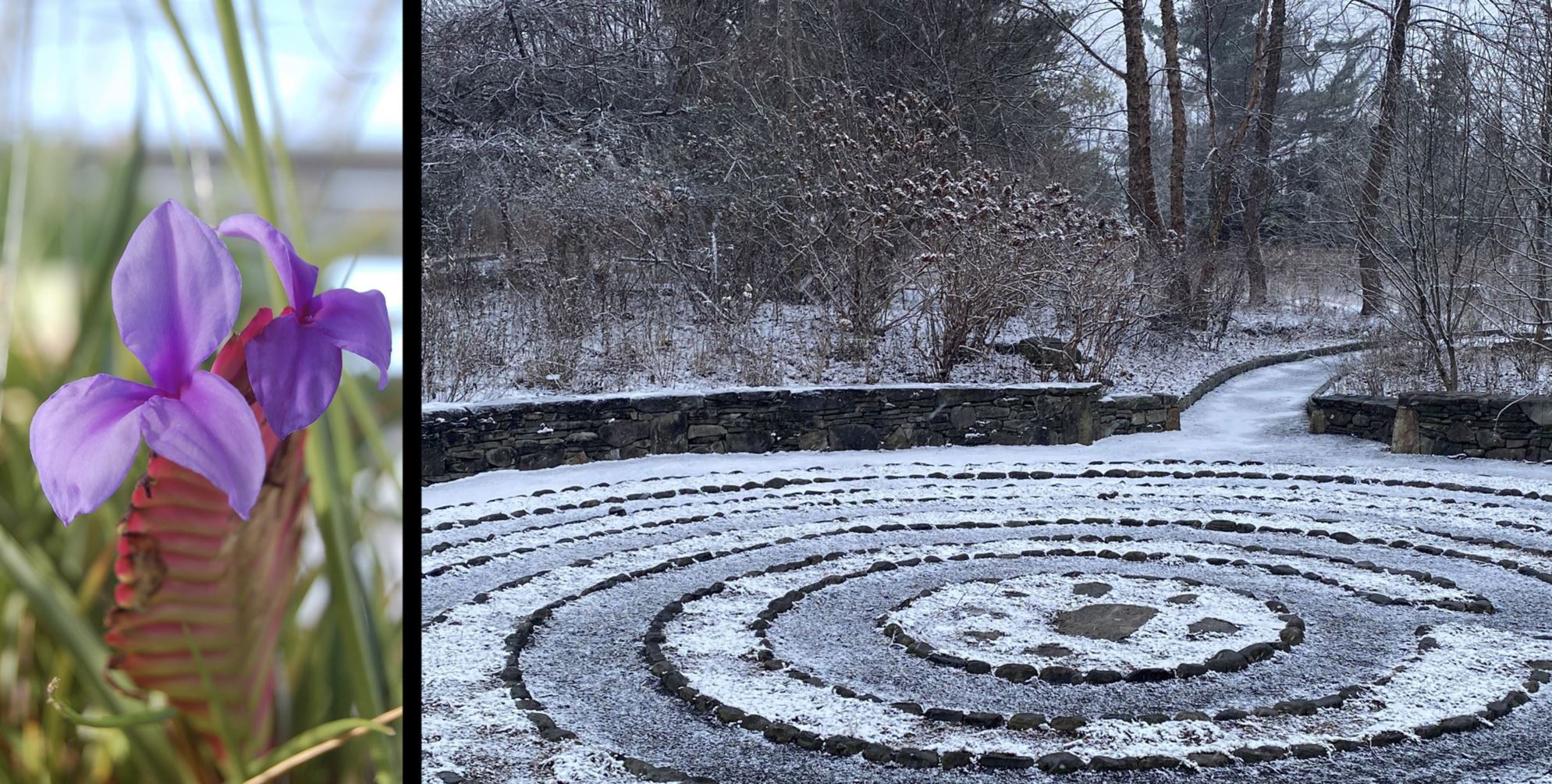 [Welcome image: Upload from IrisBG]