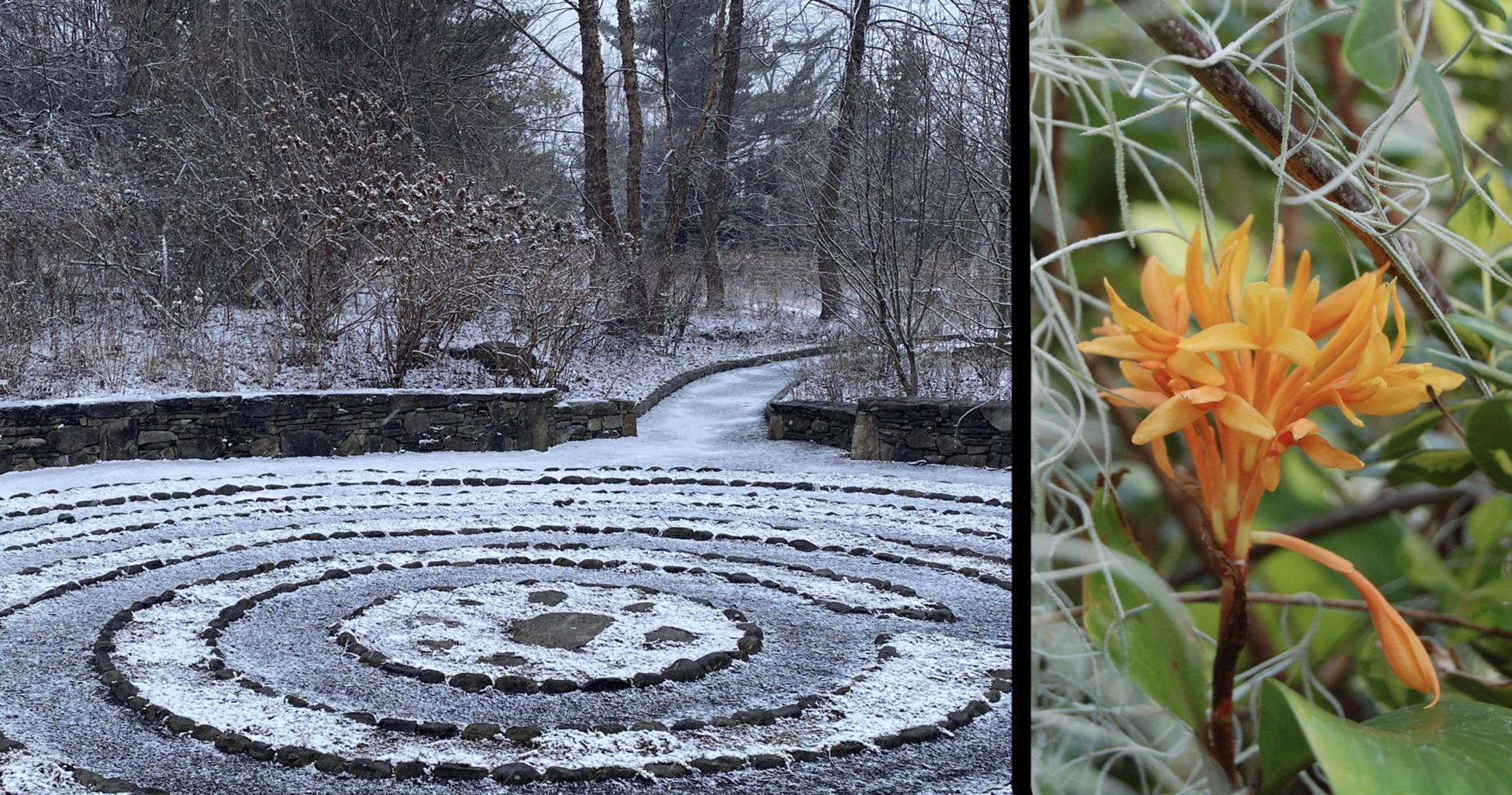 [Welcome image: Upload from IrisBG]